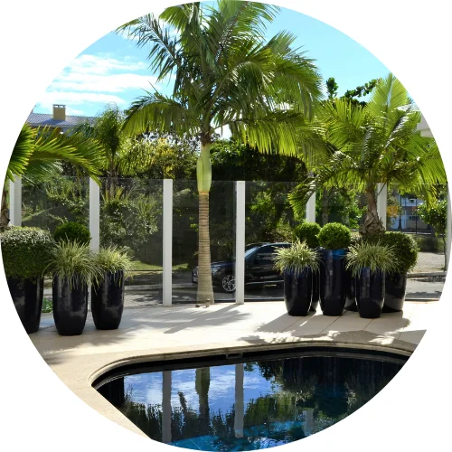 Residencial Bromélias Jurerê Internacional